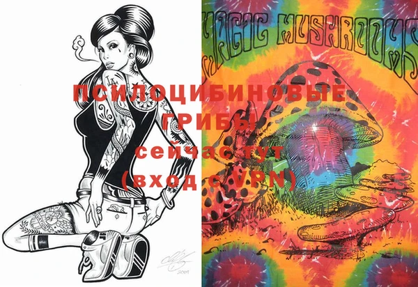 мяу мяу кристалл Корсаков
